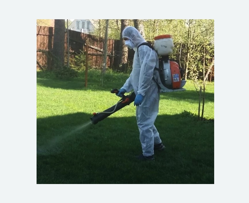 Обработка территории от клещей в Котельниче