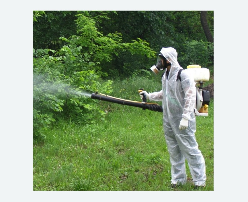 обработка территории от клещей в Котельниче