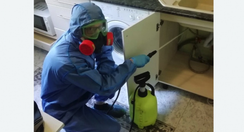 Уничтожение муравьев в квартире. Котельнич