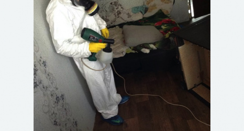 Обработка квартир от насекомых в Котельниче