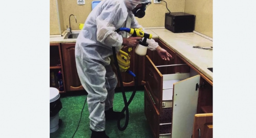 Дезинсекция квартиры. Котельнич
