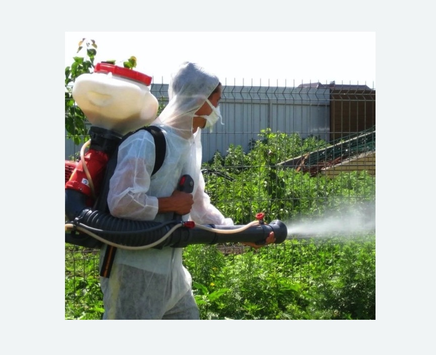 Акарицидная обработка территории в Котельниче