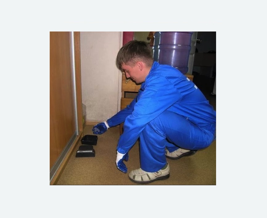 Дератизация крыс в Котельниче