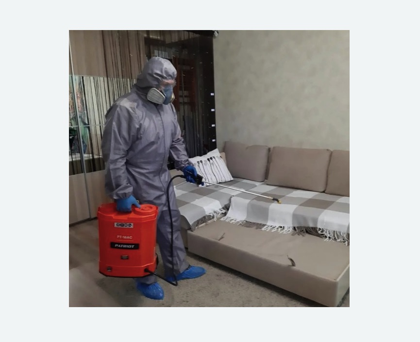 Обработка квартиры от блох в Котельниче Обработка квартиры от блох