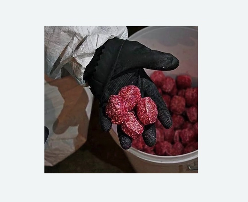 Обработка от крыс в Котельниче