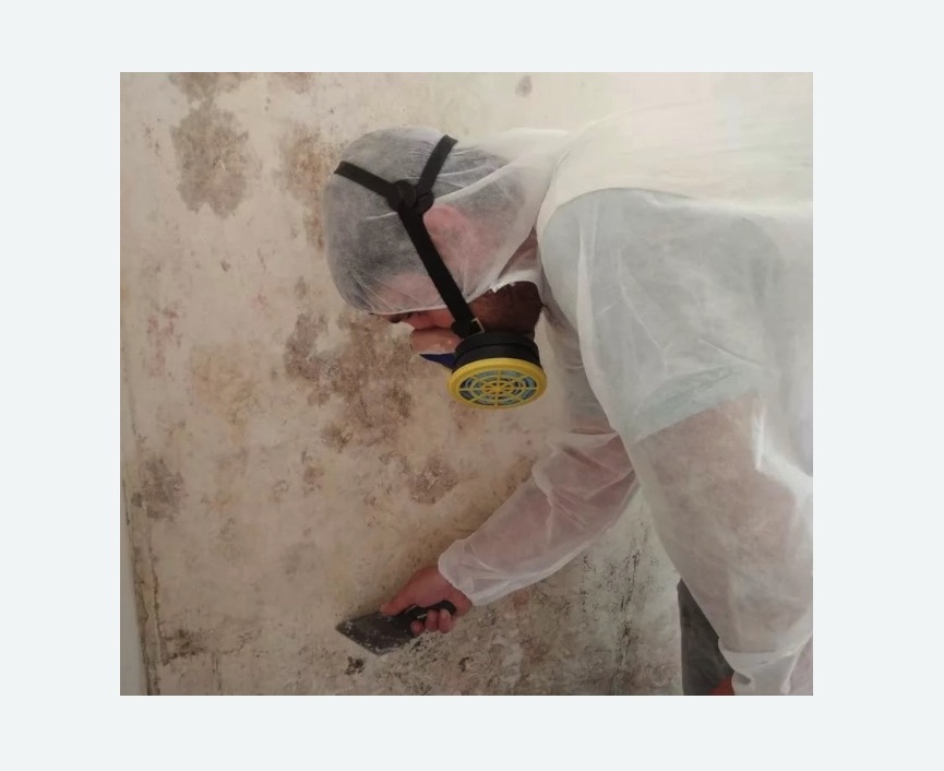 Обработка стен от плесени в Котельниче