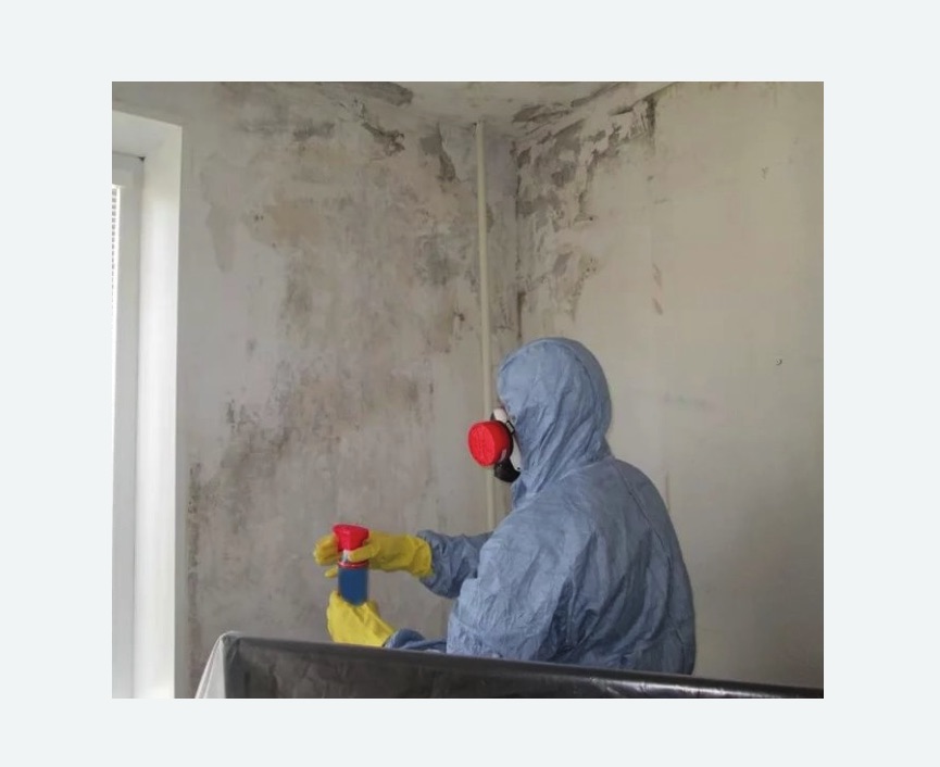 Удаление плесени в квартире в Котельниче
