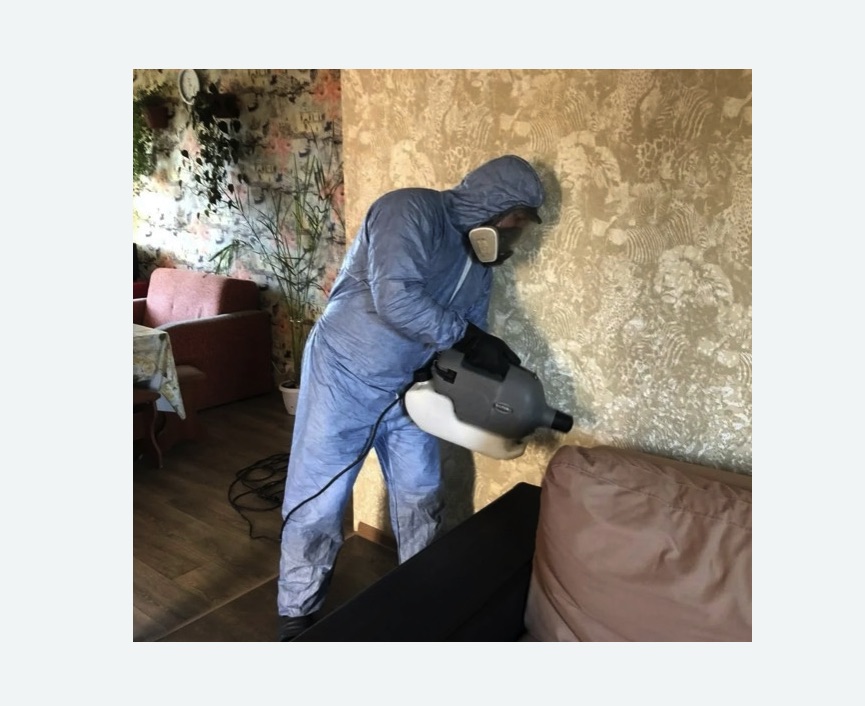 Уничтожение блох в квартире. Котельнич Уничтожение блох в квартире