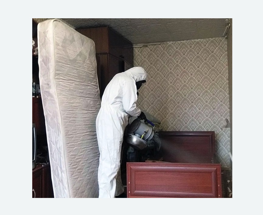 дезинфекция от клопов дезинфекция от клопов в Котельниче