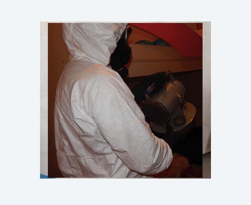 Дезинфекция от муравьев в Котельниче